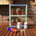 13-diy_mini_estanteria_madera_cactus_colocamos_cactus